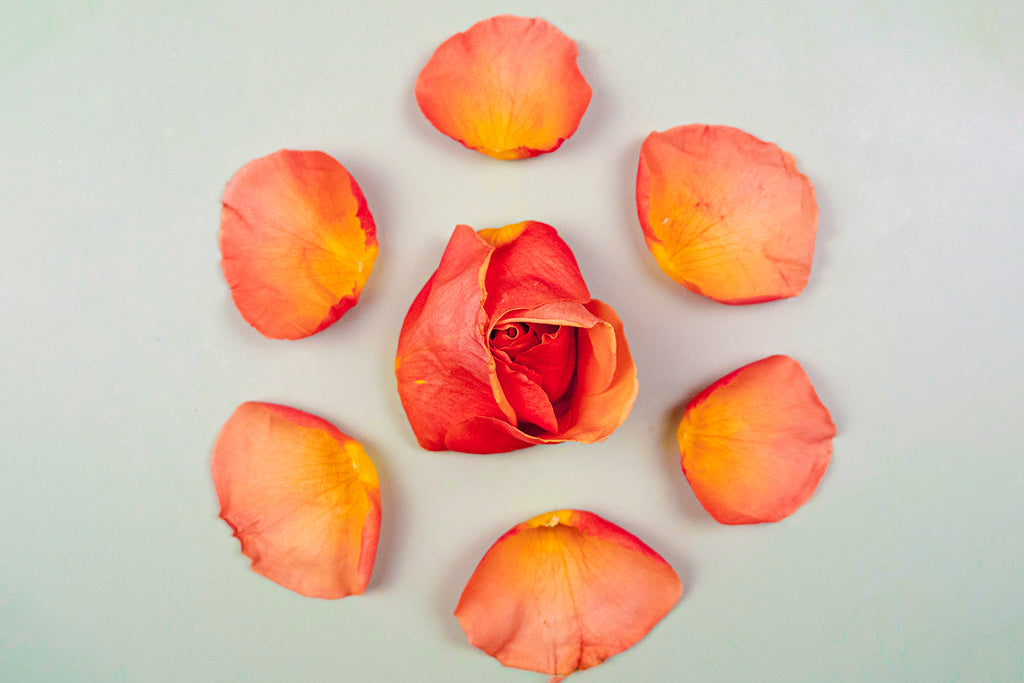 Rose Oil: Benefits for the Mind and Skin