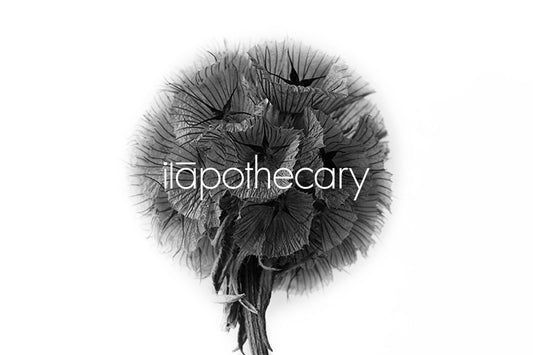 The story of ilapothecary