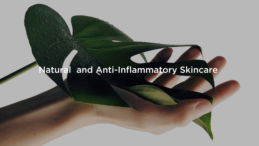 natural anti-inflmmatory ingredients with a hand holding a leaf