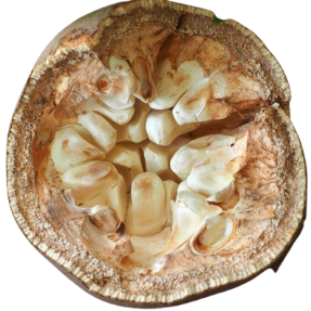 Ingredient 2