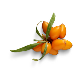 Ingredient 4